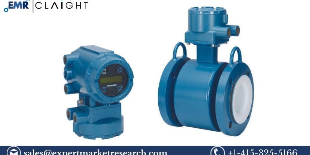 Magnetic Flowmeters Market Trends, Growth & Forecast 2025-2034