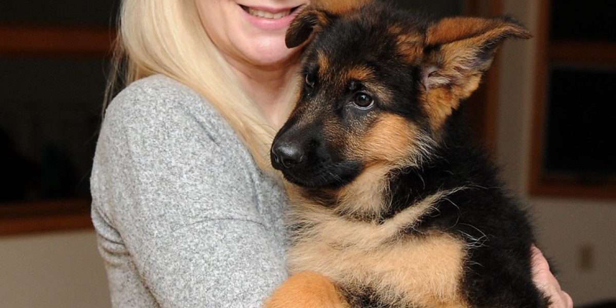 Schäferhund Welpen Kaufen in der Schweiz – Ein umfassender Leitfaden