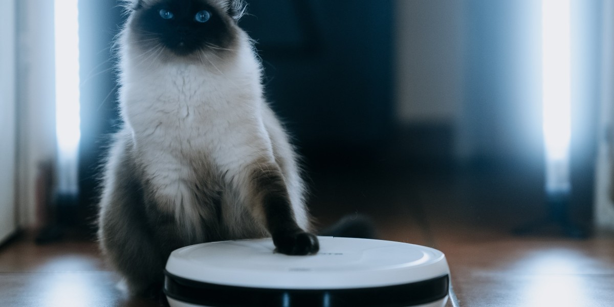 9 Things Your Parents Taught You About Robot Vacuum Cleaner Top 10