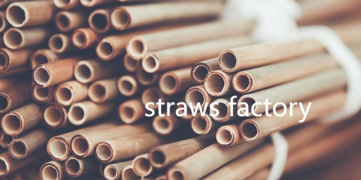 Smart Straw Choices for Sustainable Living