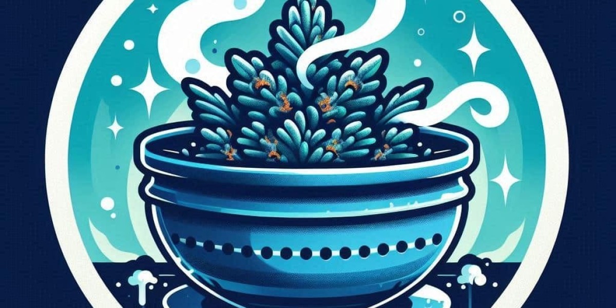 Blue Dream Feminized Marijuana Seeds: A Grower’s Favorite