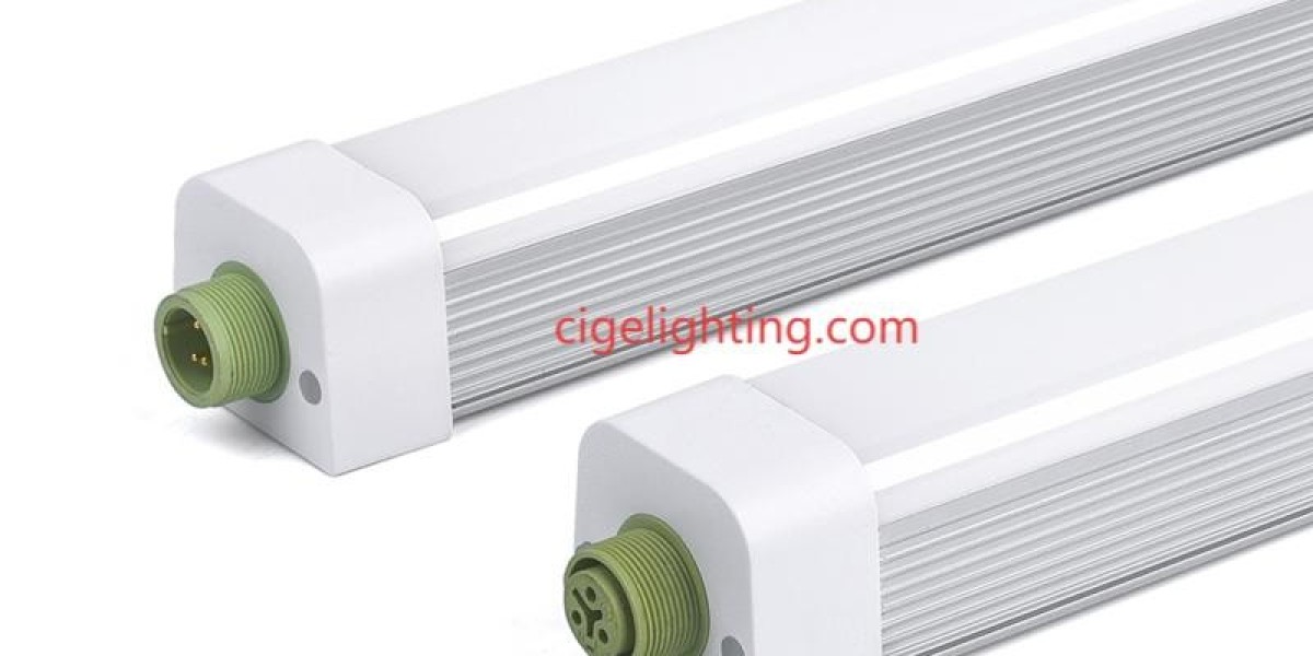 Cigelighting’s Photovoltaic Symbiosis: Light Systems That Nourish Ecosystems
