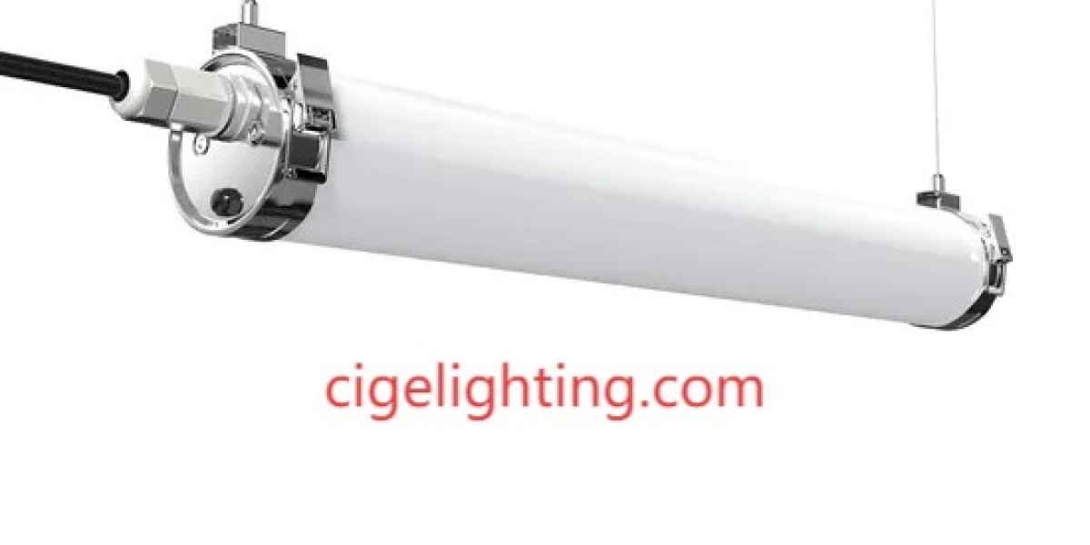 Cigelighting's Contextual Integration: Ip65 Waterproof Fixture