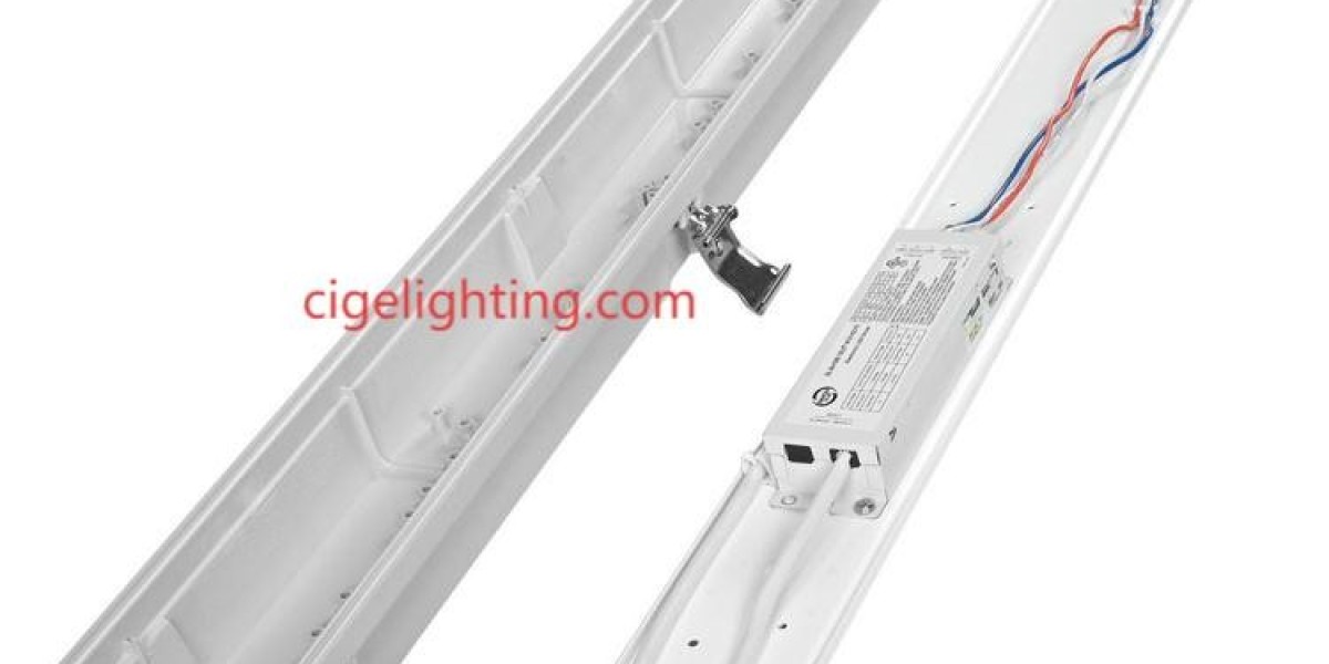 Vertical Farm Durability: Trust Cigelighting Your Triproof LED Light Factory Partner