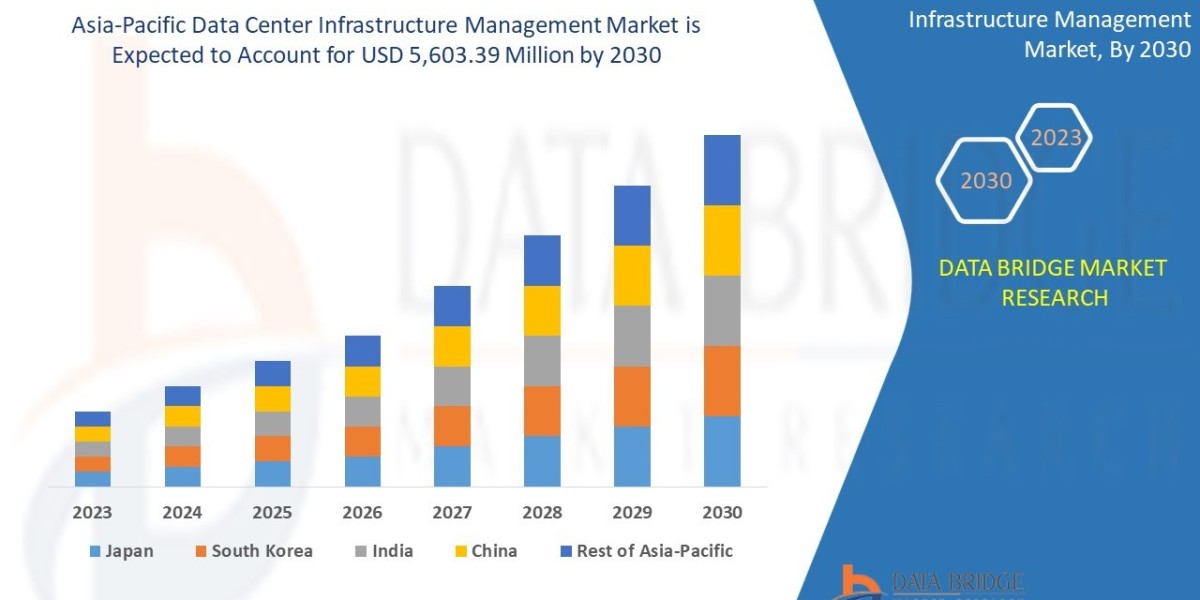 Digital Infrastructure Development Fuels Asia-Pacific DCIM Market Expansion