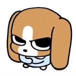 gggggg Profile Picture