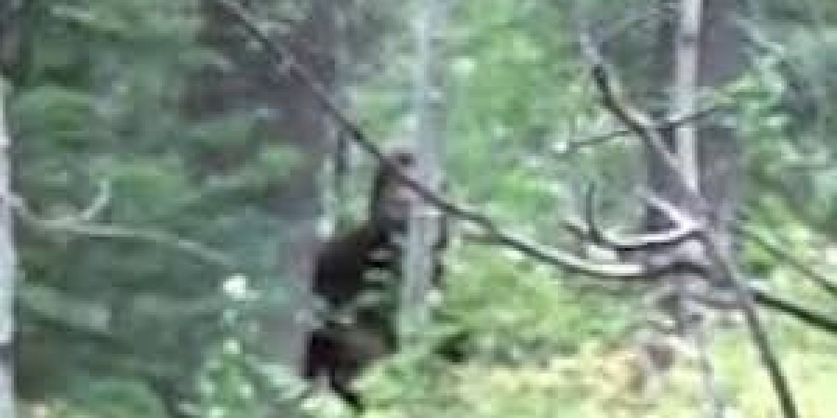 Native American Bigfoot Names: Tribal Legends of the Wild Man of the Forest