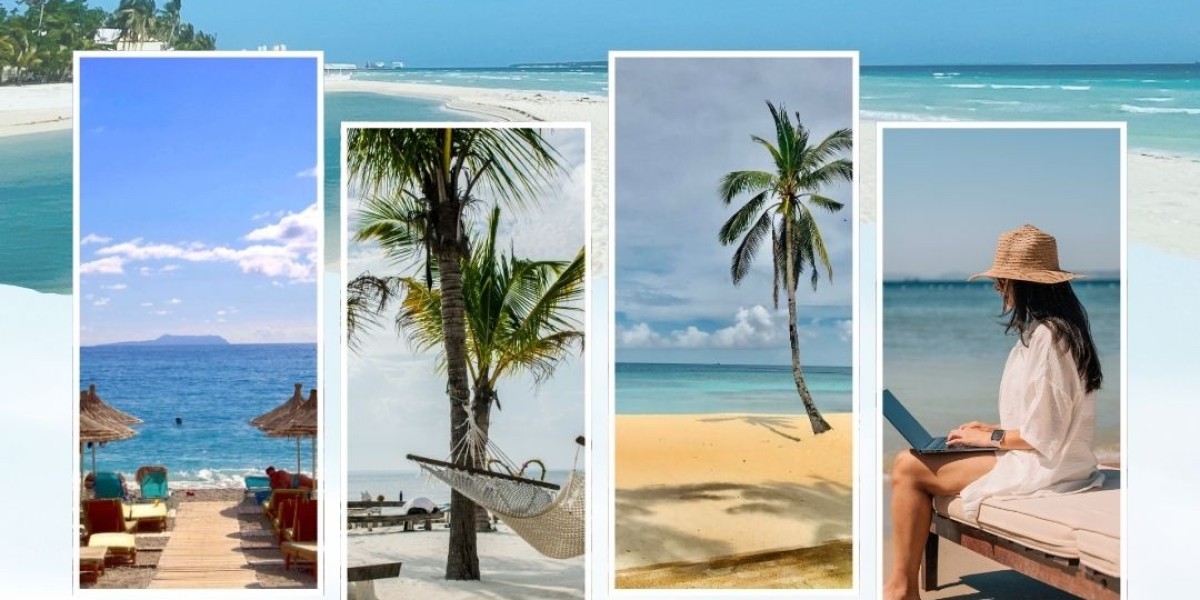 How A Skyscanner Clone Can Elevate Your Rental Business Success?