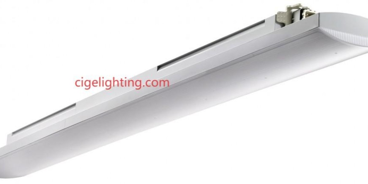 Cigelighting’s Seal of Assurance: Reliable Led Waterproof Light Factory Performance