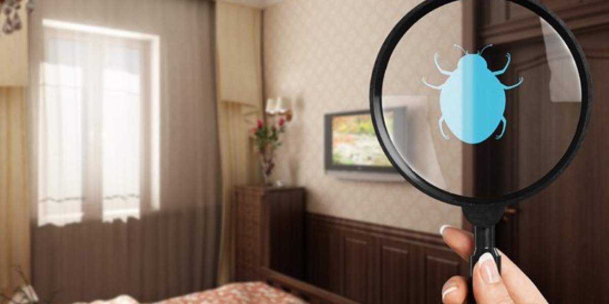 Why Affordable Bed Bug Exterminators Are a Smart Choice